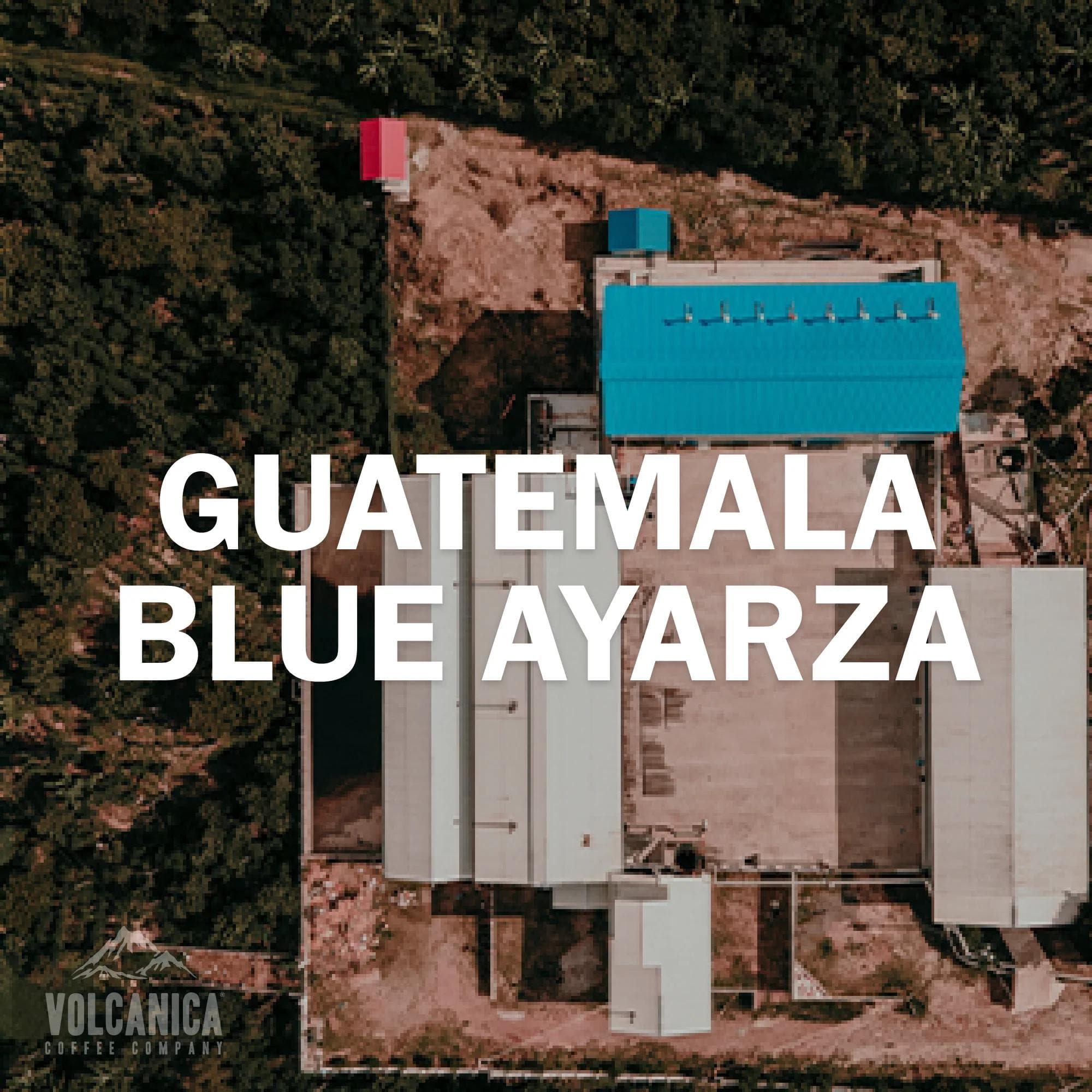 Image of Guatemala Natural Process Coffee - Blue Ayarza