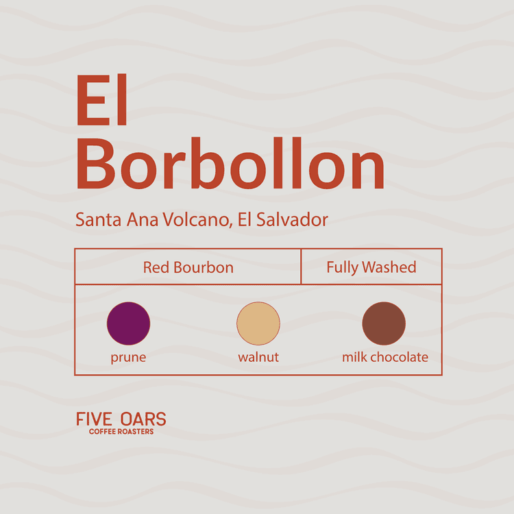 Image of El Borbollon