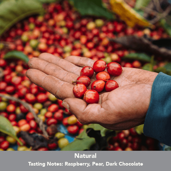 Image of Panama Baru Black Mountain