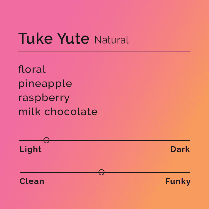 Image of Tuke Yute - Natural