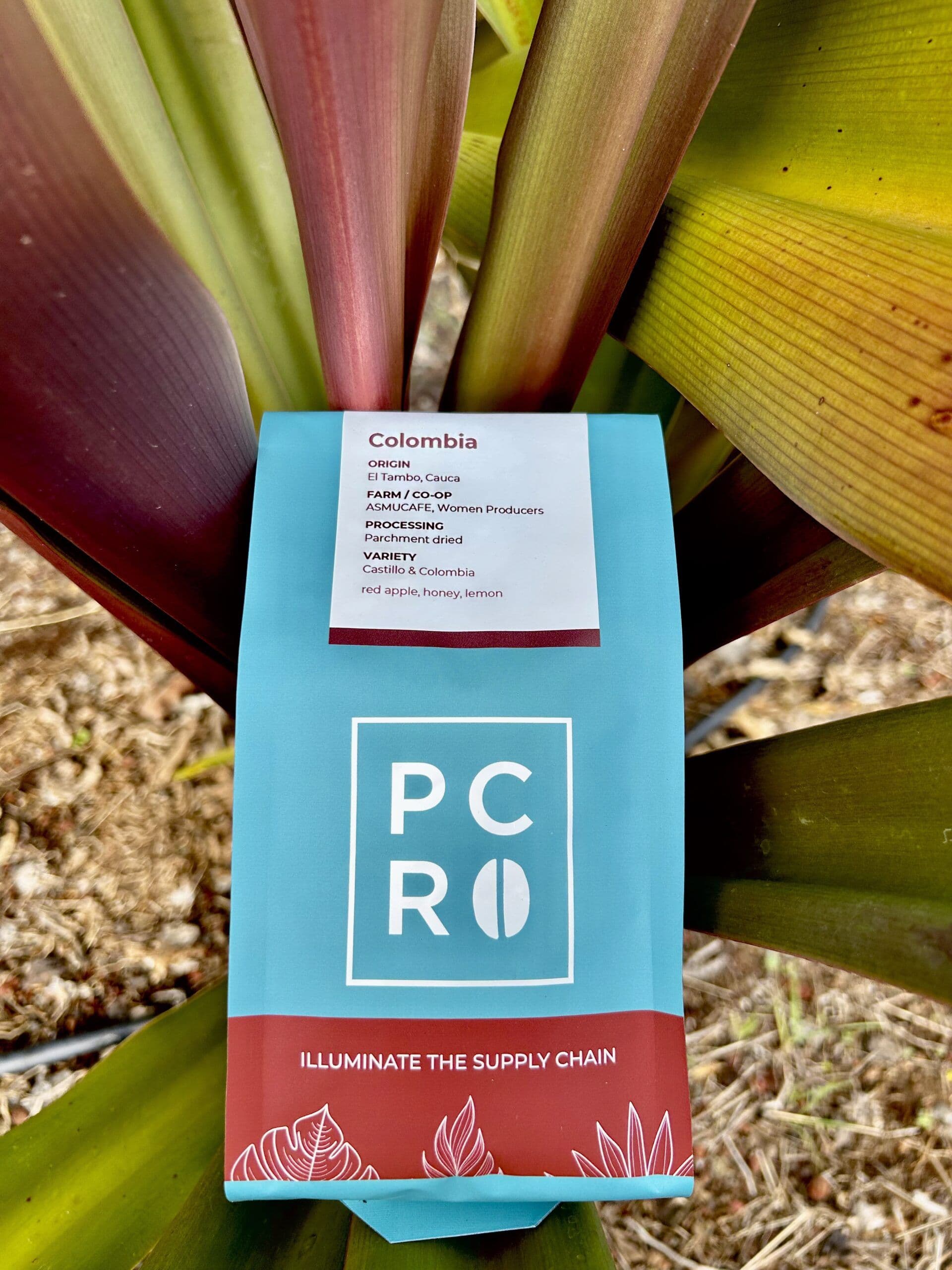 Image of El Tambo, Cauca, Colombia