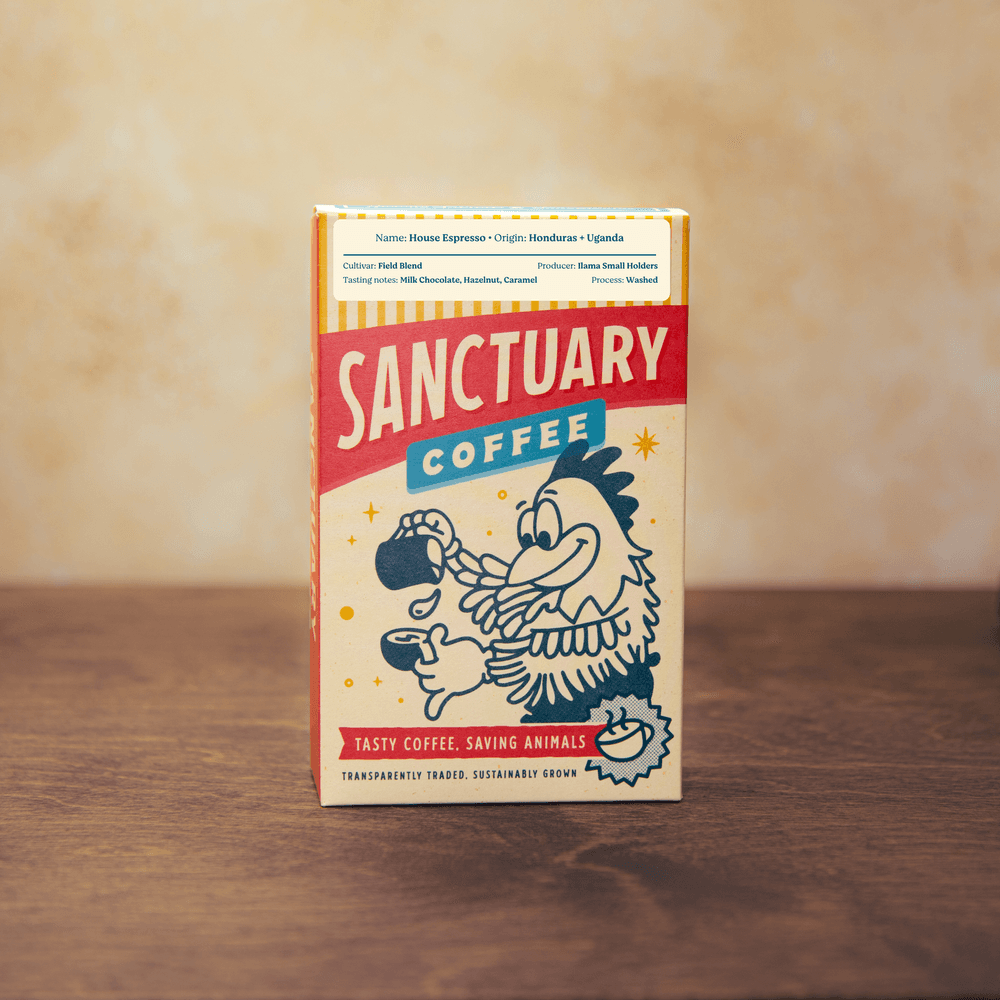 Image of House Espresso