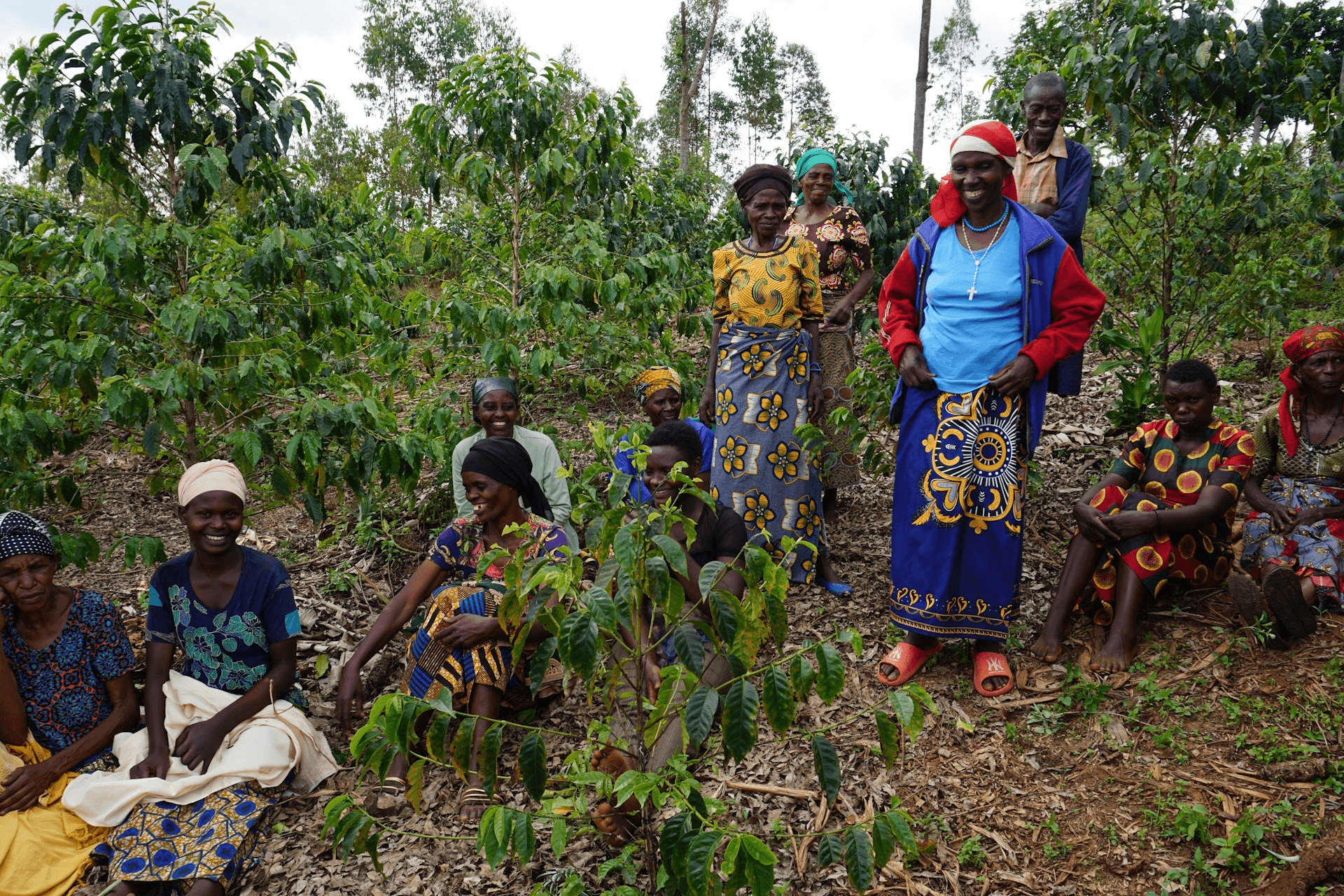 Image of Rwanda Ituze Washed