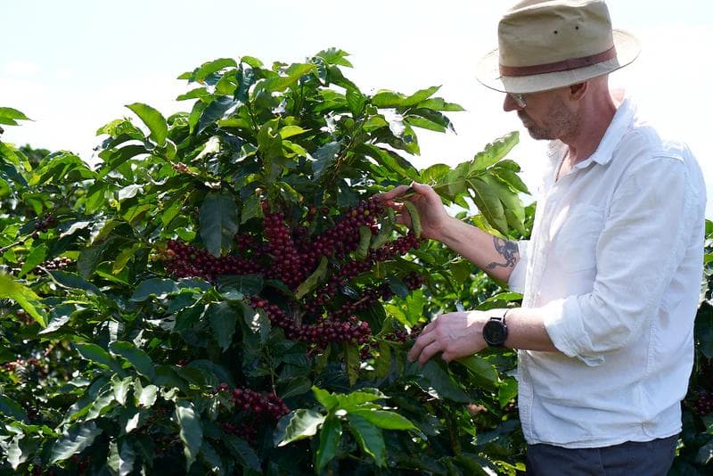 Image of 2 Champion Coffee Costa Rica