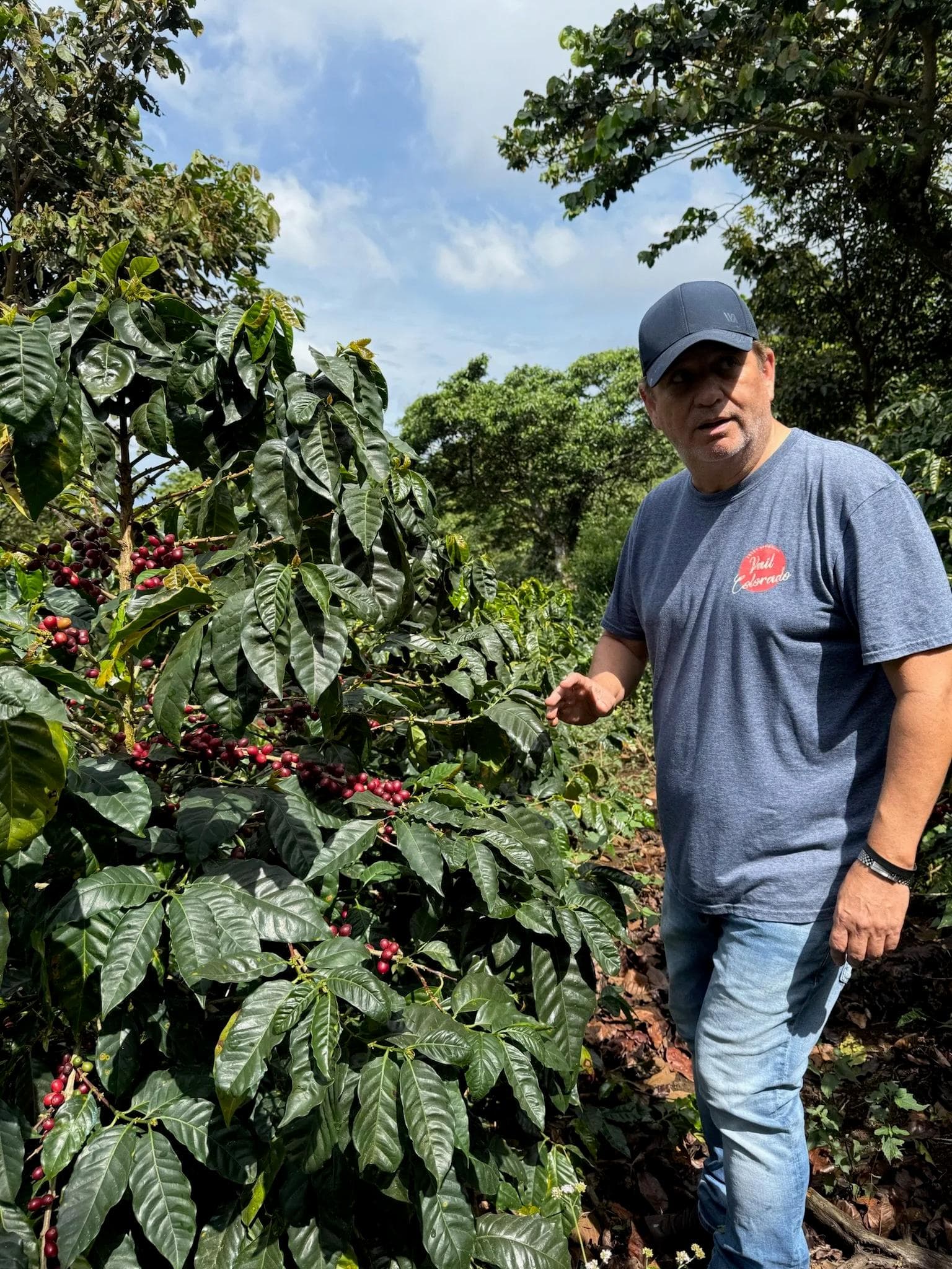 Image of El Salvador - Divisadero