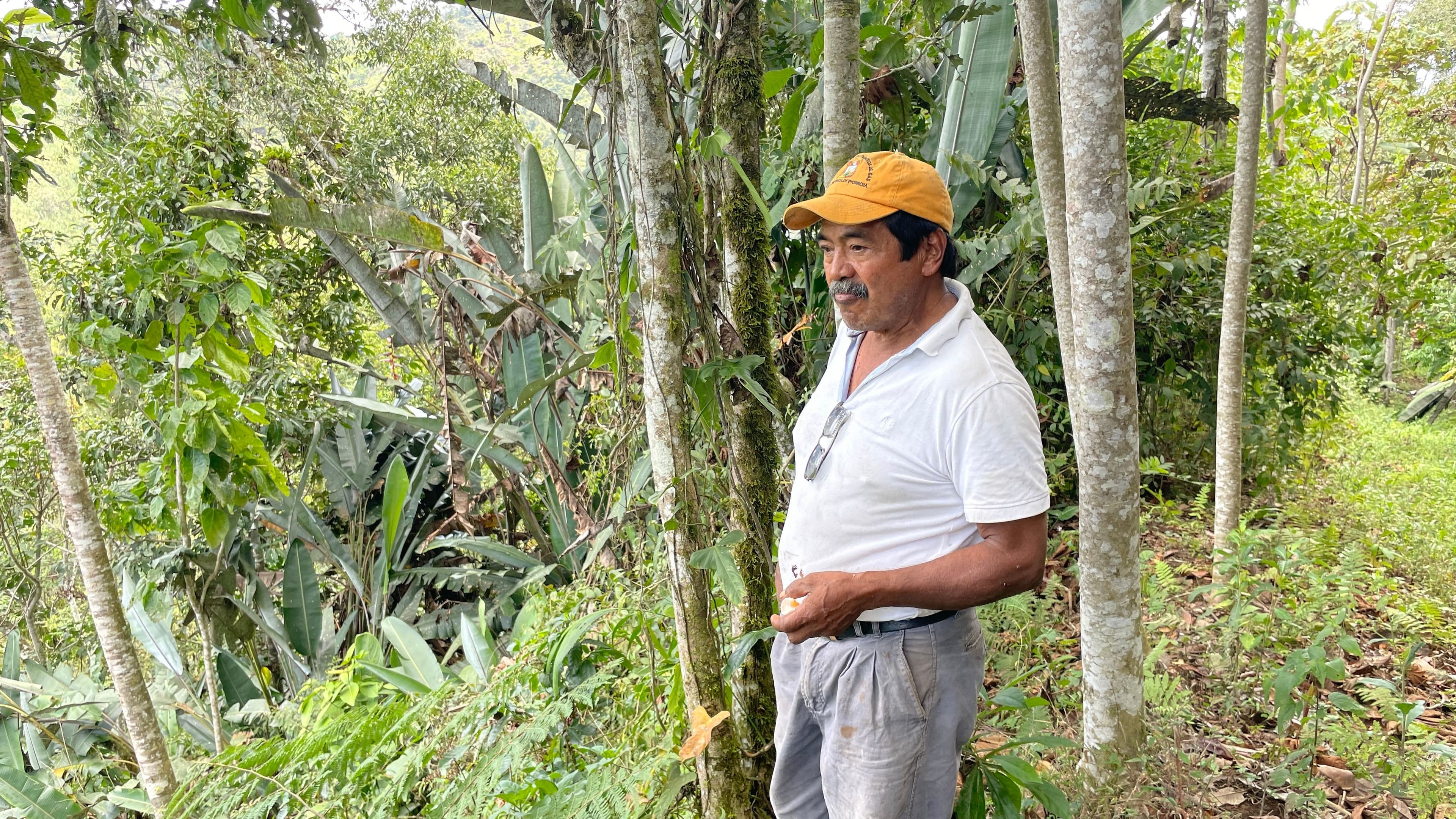Image of Ecuador Cesar Andagoya