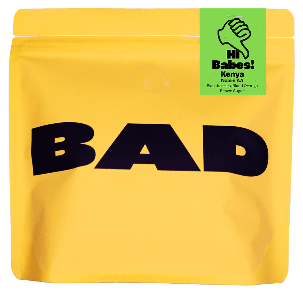 Image of Hi Babes Kenya Ndaini AA  Single Origin