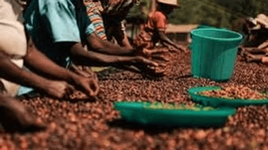 Image of Bensa Natural