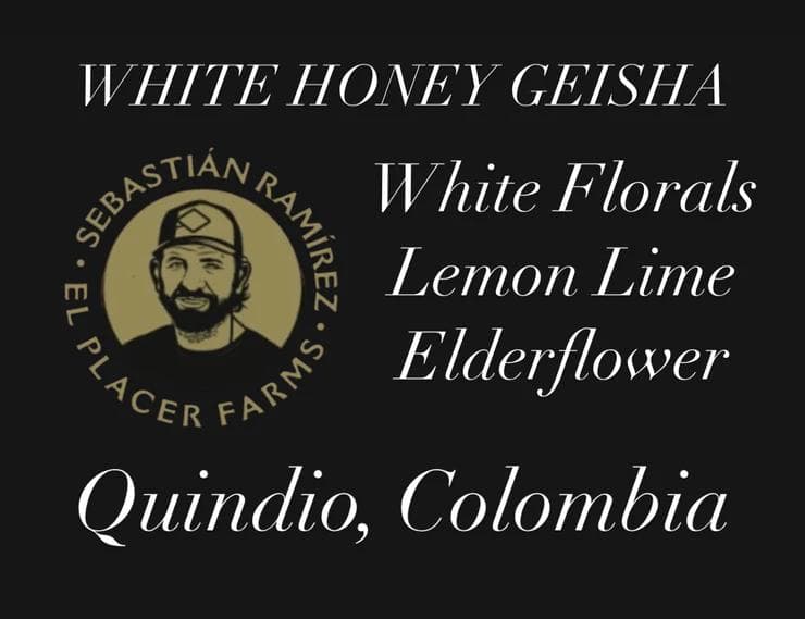 Image of El Placer White Honey Geisha