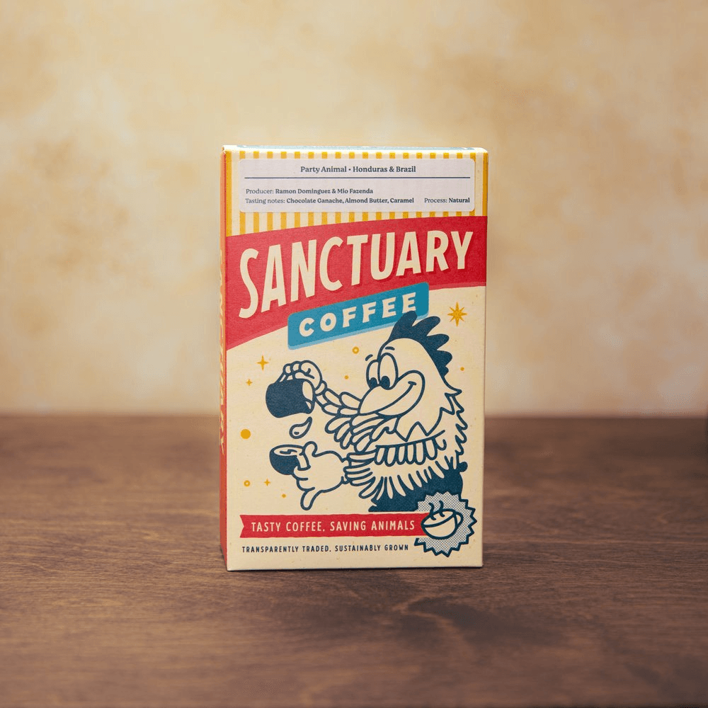 Image of Party Animal