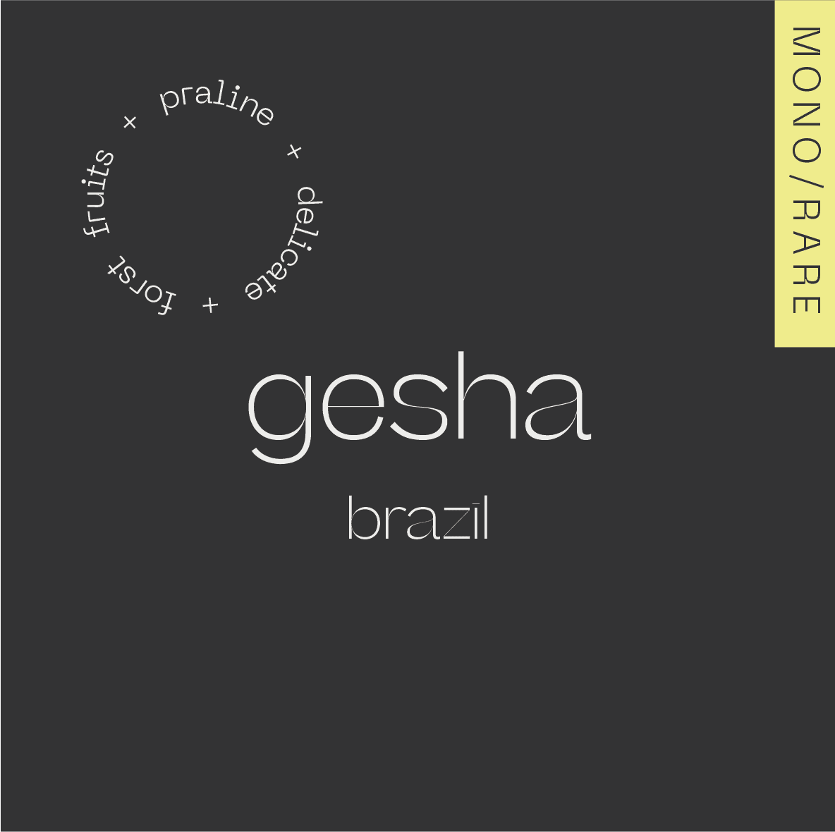 Image of GESHA Brazil — Patricia