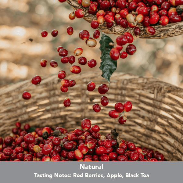 Image of Ethiopia Ardent Sidama G1