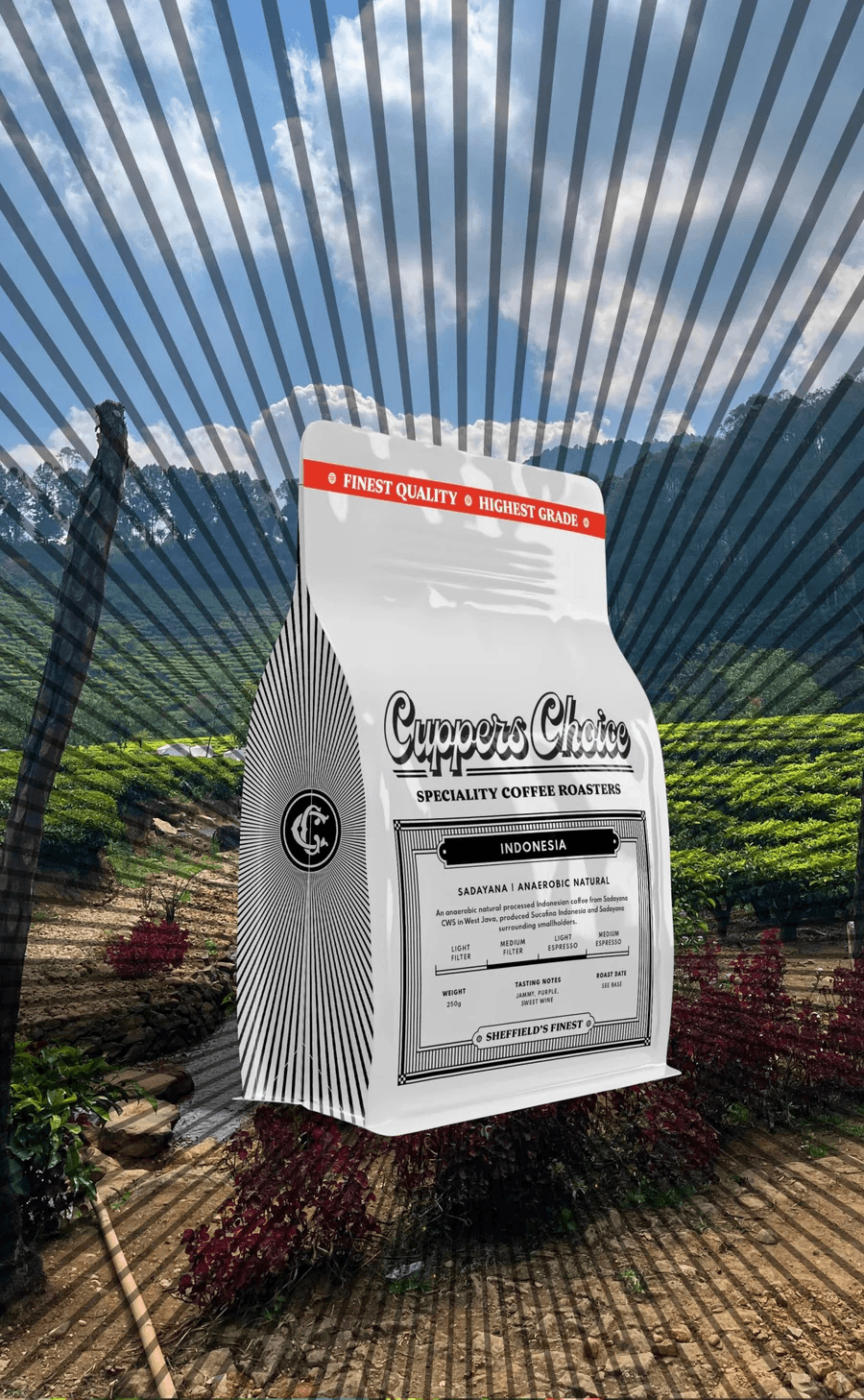 Image of Sadayana - Anaerobic Natural - Indonesia