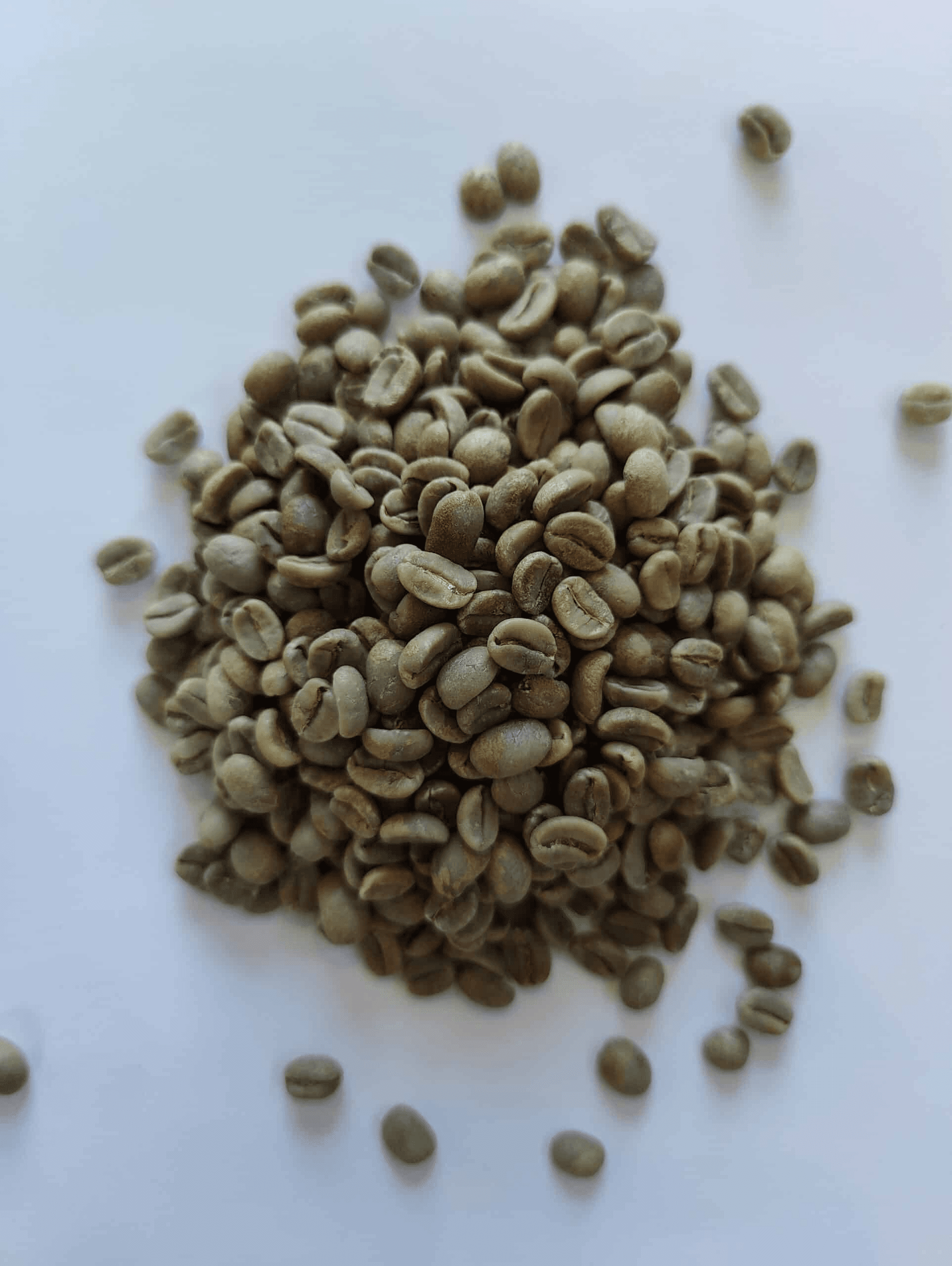 Image of Raw Coffee Beans- Costa Rica Tres Milagros Red Honey