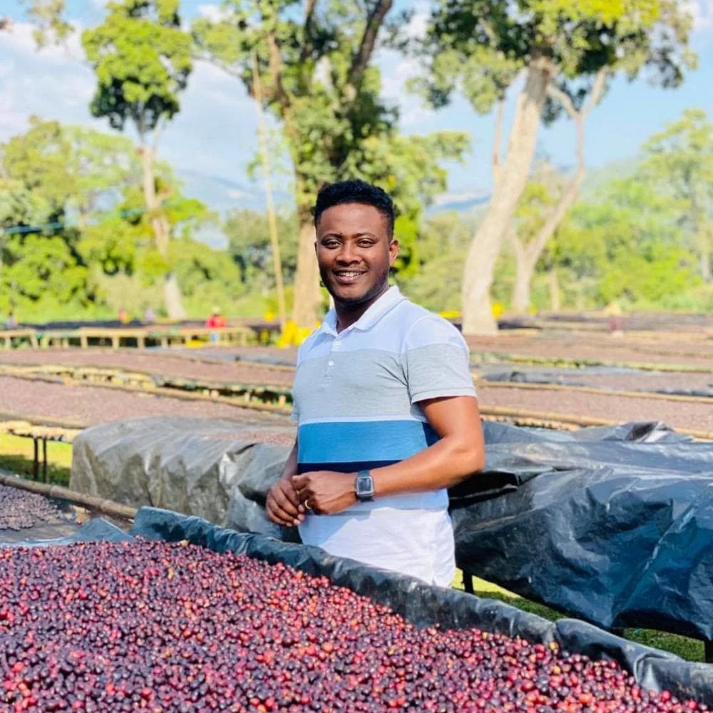 Image of Ethiopia - Alo Coffee - Bombe Delo - Natural (CoE 2021 #2 Farm)