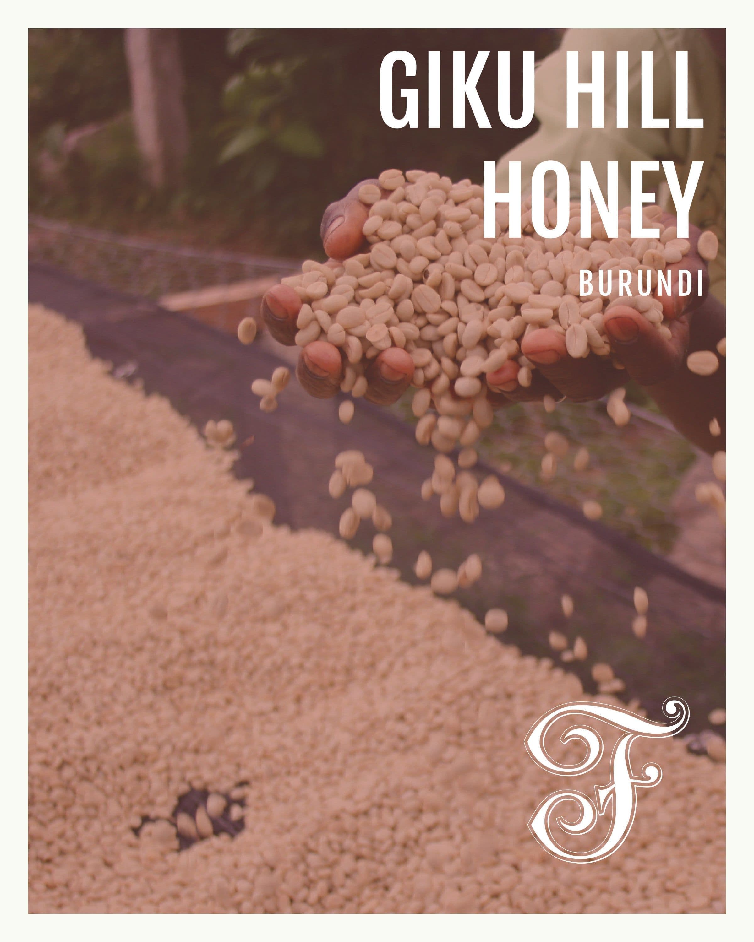 Image of Burundi Giku Hill Honey Espresso