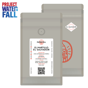 Image of Project Waterfall El Martillo El Salvador