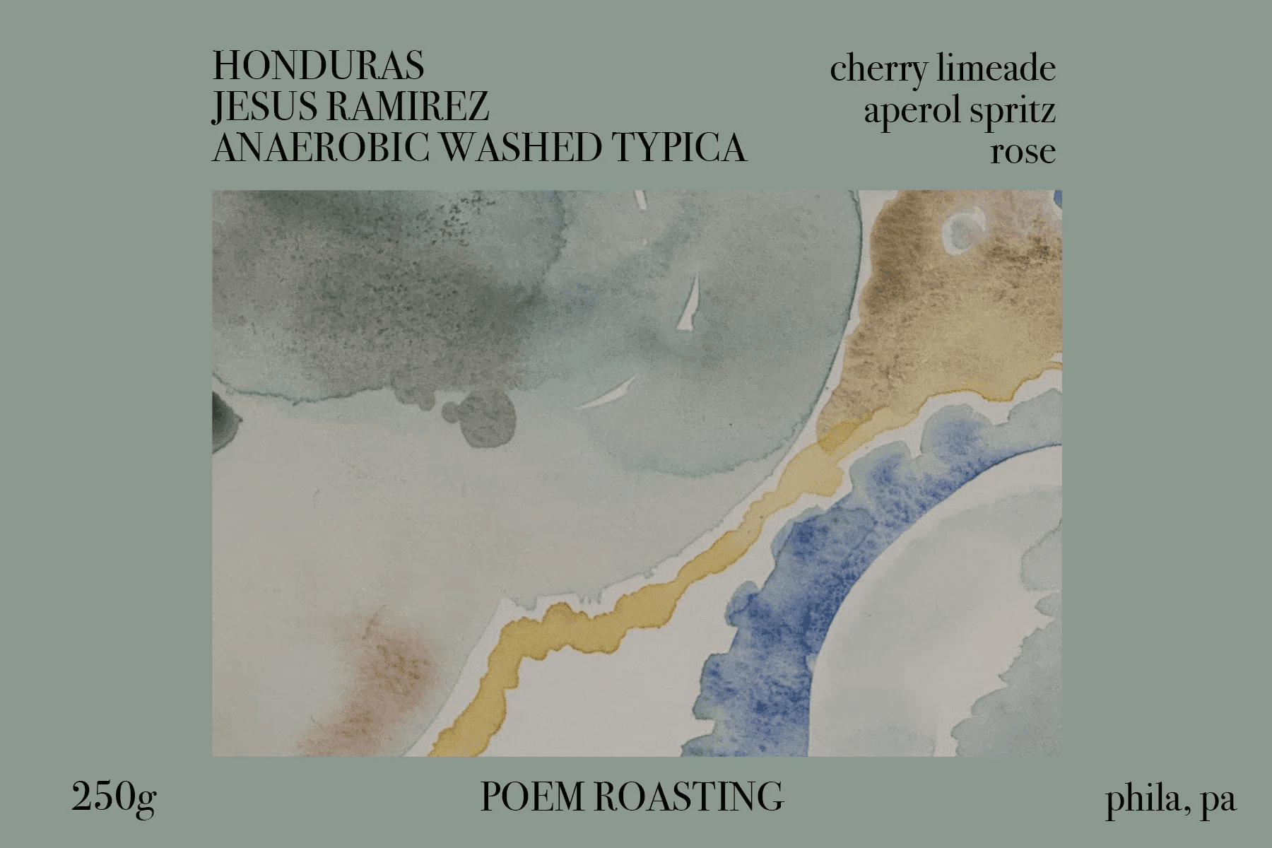 Image of Honduras Jesus Ramirez Anaerobic Washed Typica