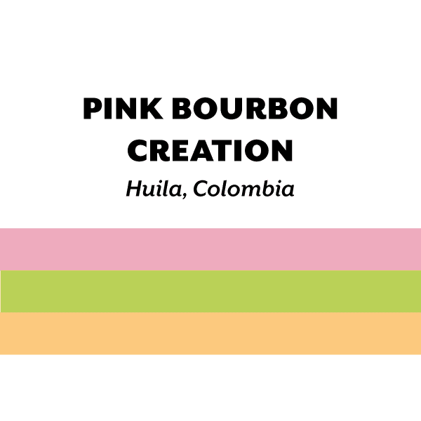 Image of Colombia Pink Bourbon Creation