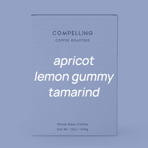 Image of Papua New Guinea Kuta