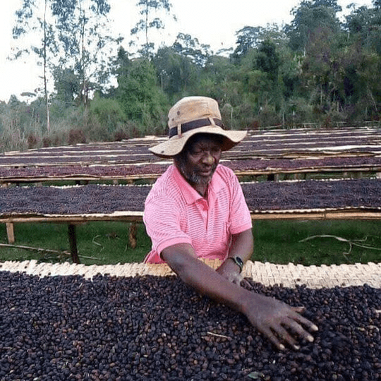 Image of Ethiopia Halo 19 Birhanu Dido 2023