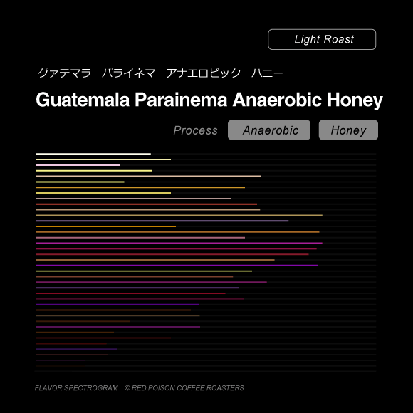 Image of Guatemala Parainema Anaerobic Honey