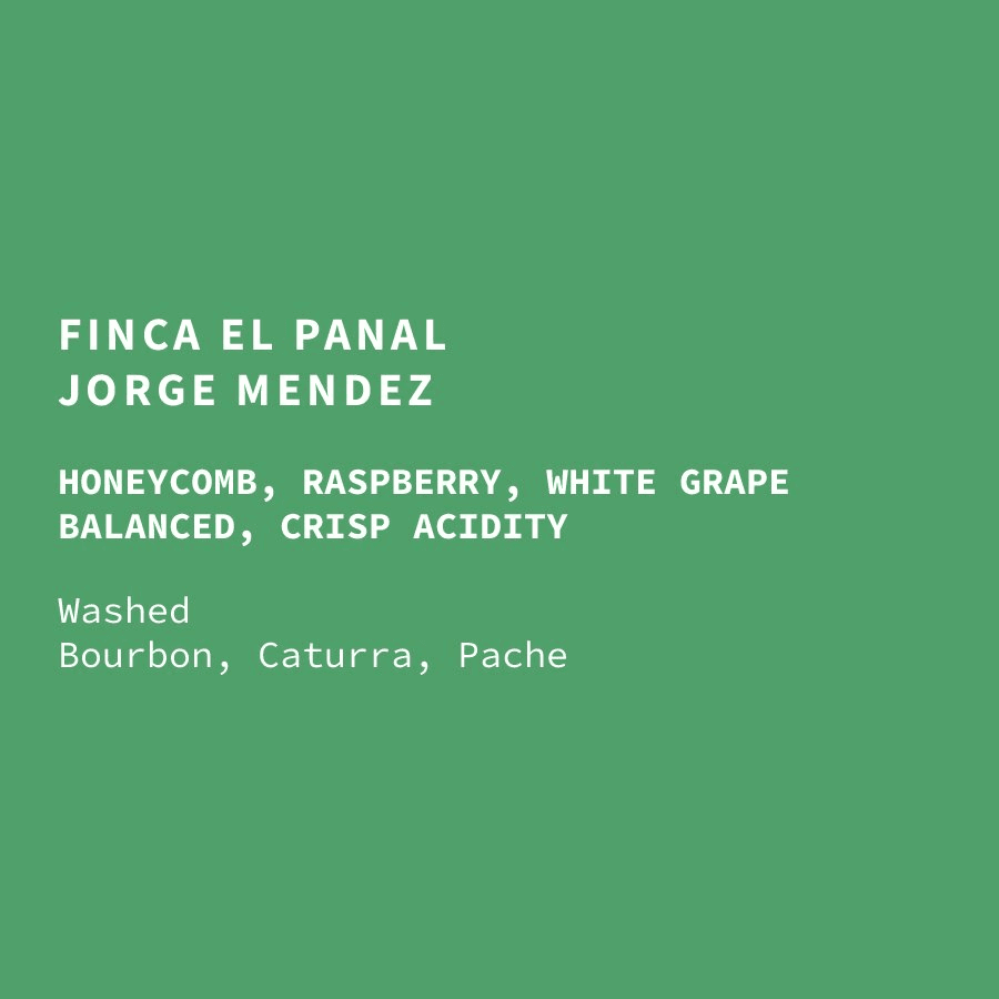 Image of Guatemala El Panal