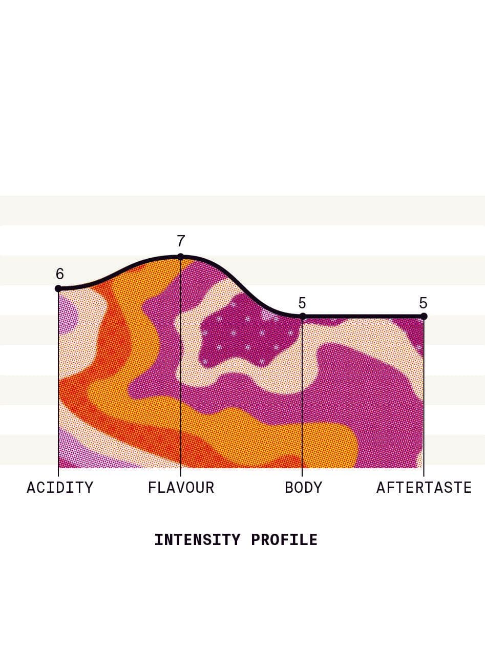 Image of Colombia Wilder Lazo Geisha