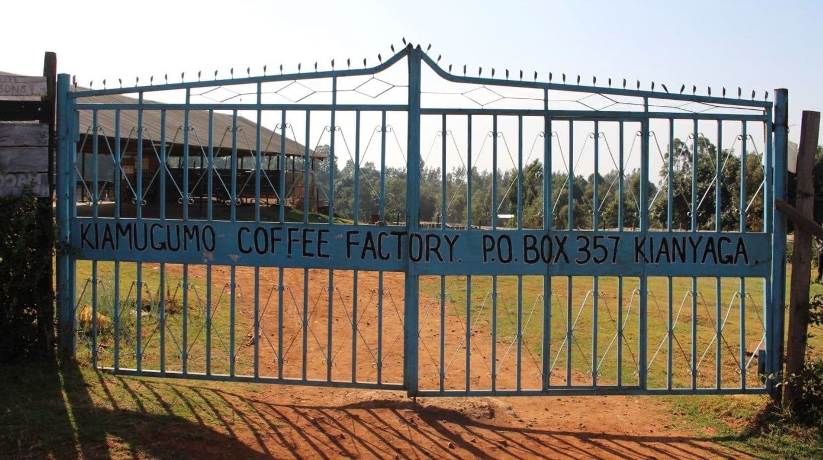 Image of Kenya Kiamugumo