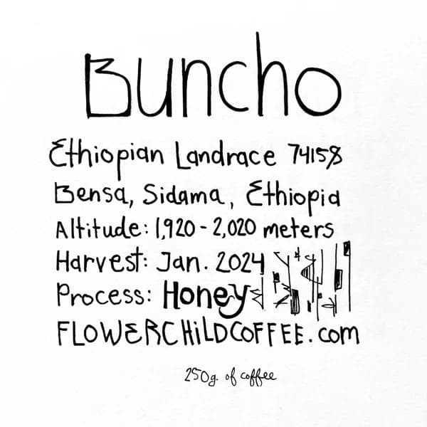 Image of Buncho