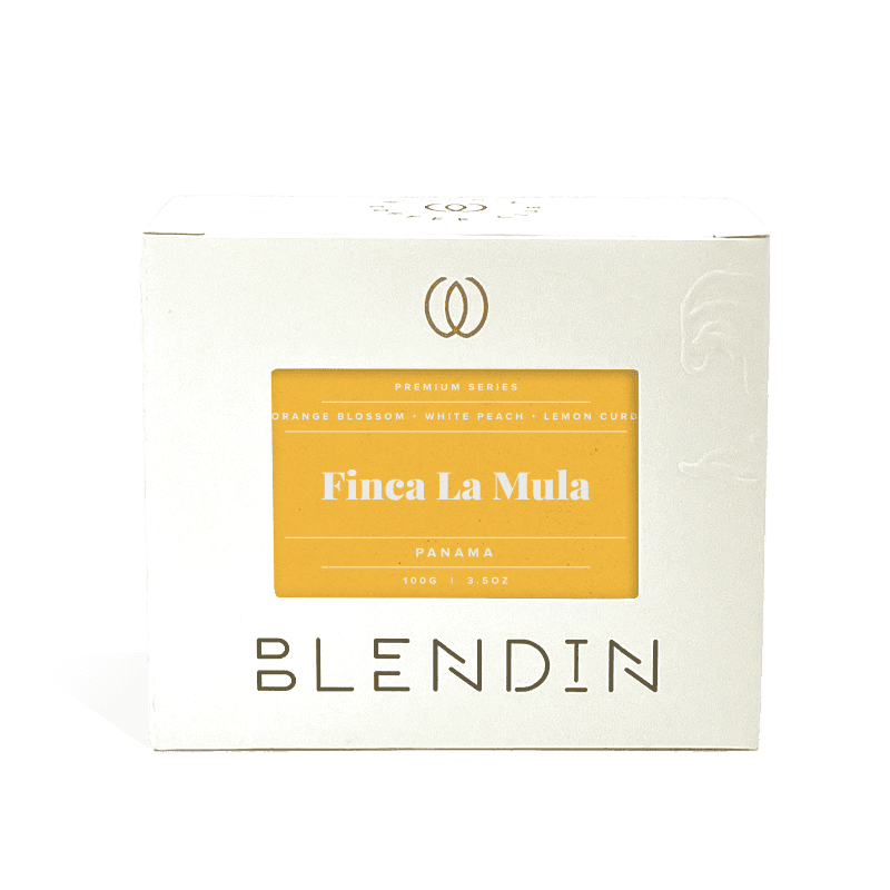 Image of Finca La Mula