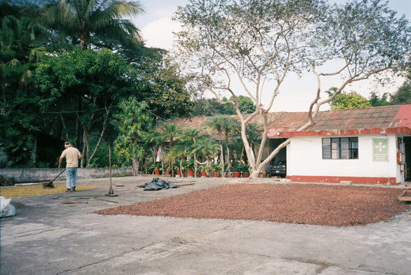 Image of Rancho San Felipe - Veracruz - Washing