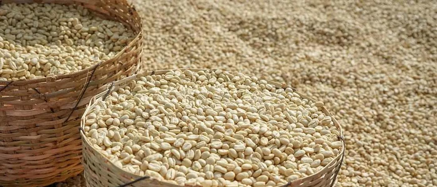 Image of Ethiopia Arsosala Special Preparation