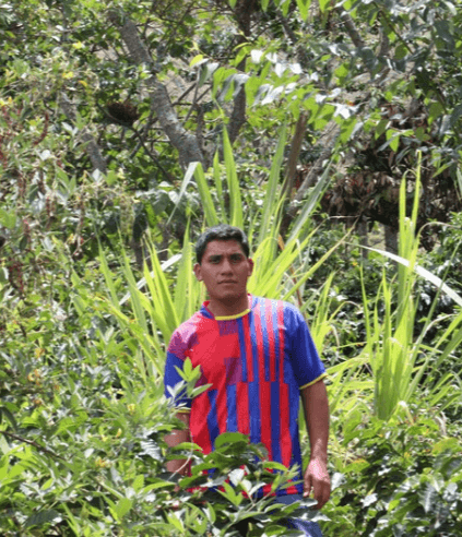 Image of Peru - Hector Saavedra - Washed