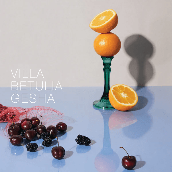 Image of Villa Betulia Gesha - Colombia