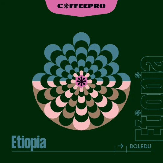 Image of Ethiopia Boledu