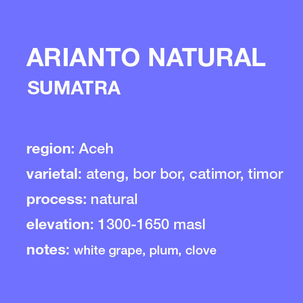 Image of Sumatra Arianto natural