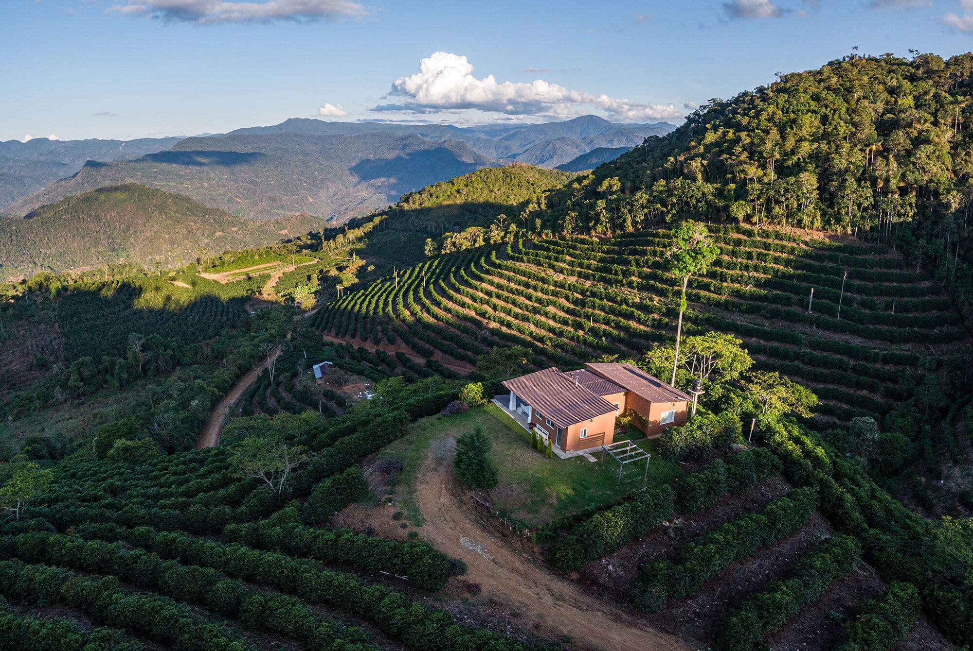 Image of Bolivia Las Alasitas Geisha