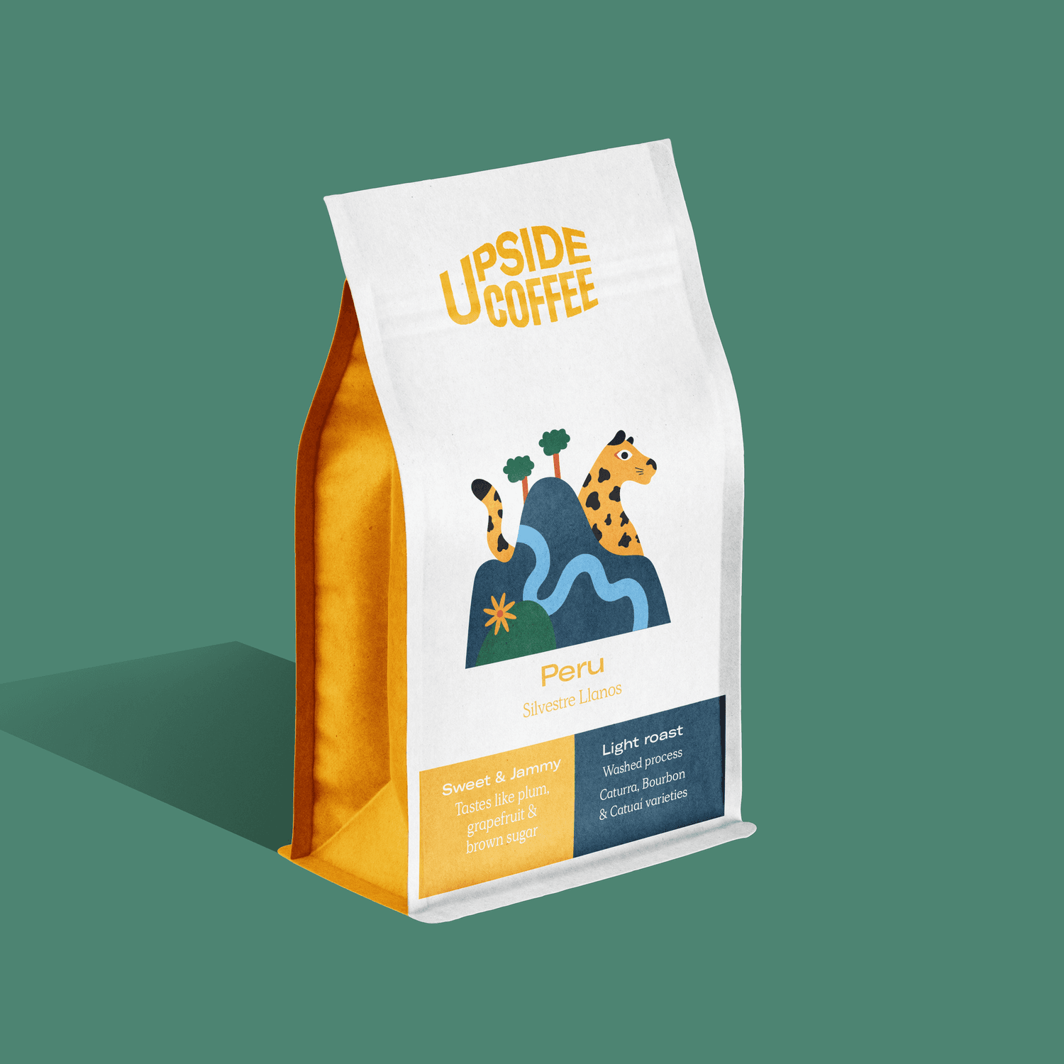 Image of Peru Silvestre Llanos Washed Filter