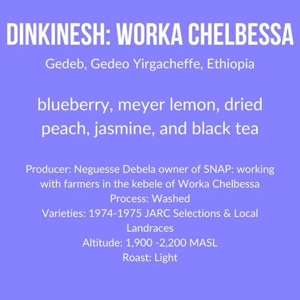 Image of Dinkinesh: Worka Chelbessa, Ethiopia