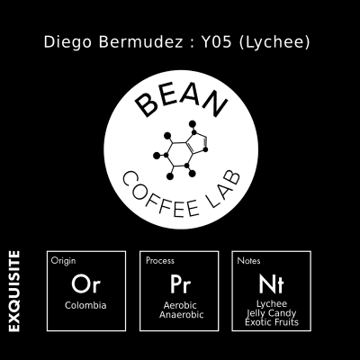 Image of Y05  Lychee