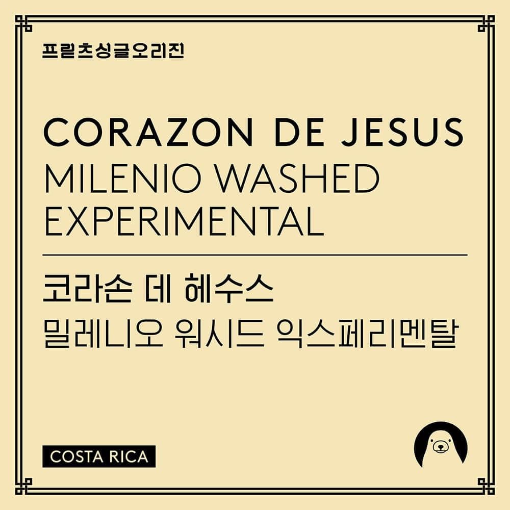 Image of Fritz Corazon de Jesus Milenio Washed Experimental