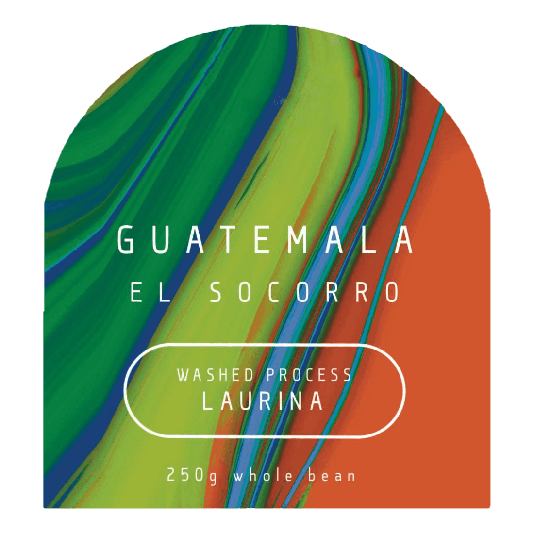 Image of Guatemala El Socorro Laurina