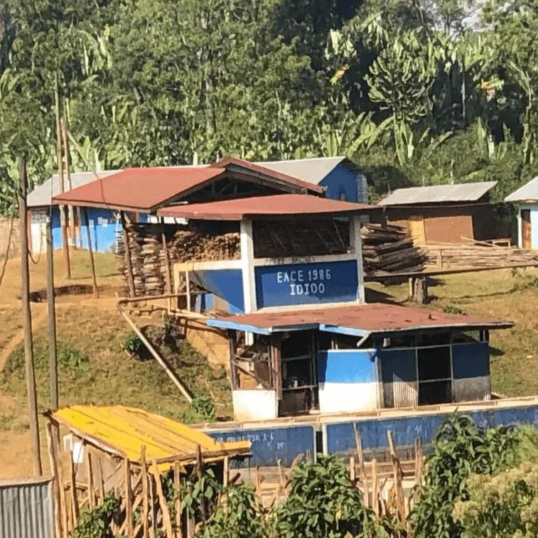 Image of Idido Anaerobic Natural - Yirgacheffe