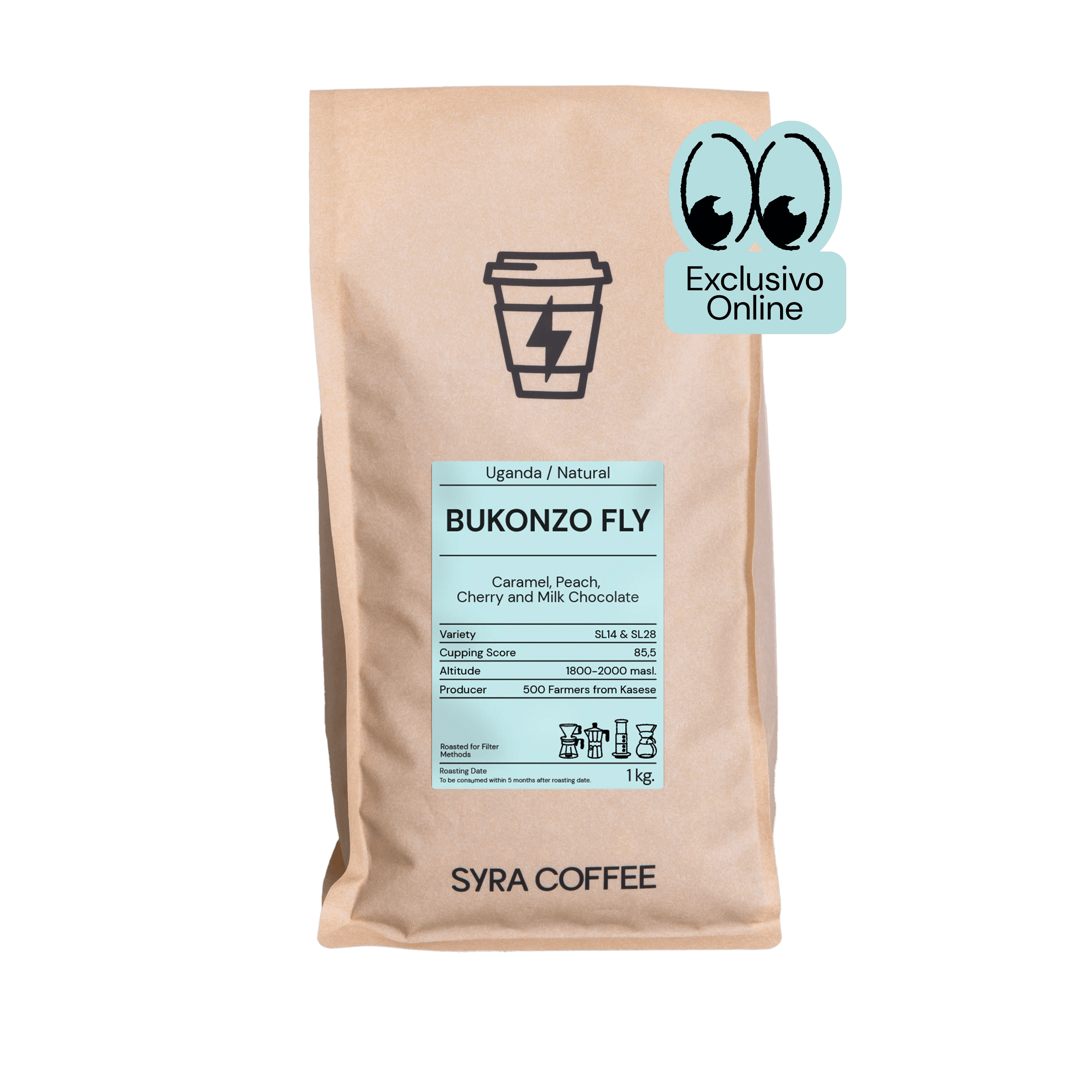 Image of Bukonzo Fly - Uganda