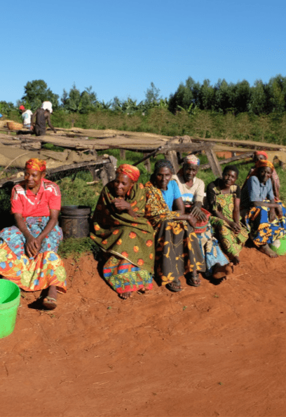 Image of Burundi - Mutambu Hill - Washed
