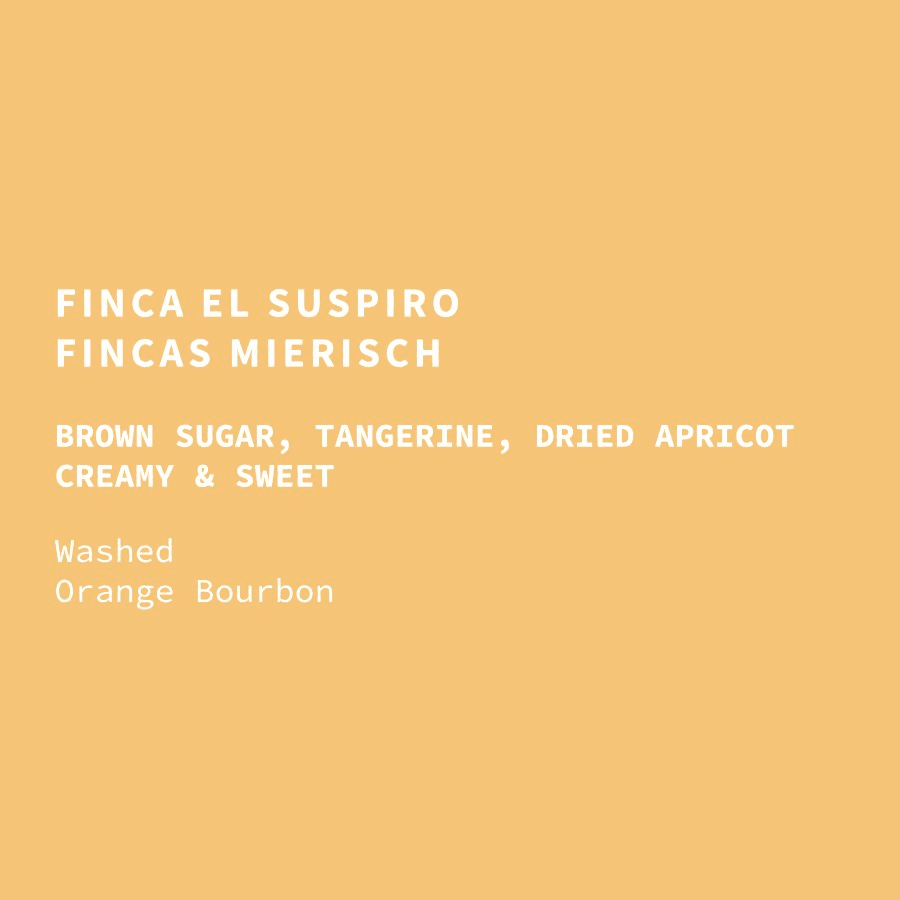 Image of Nicaragua Fincas Mierisch