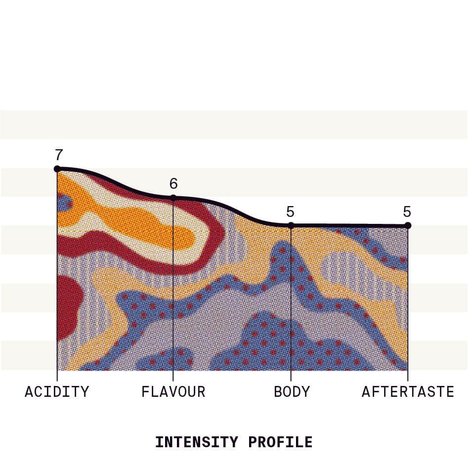 Image of African Mailman