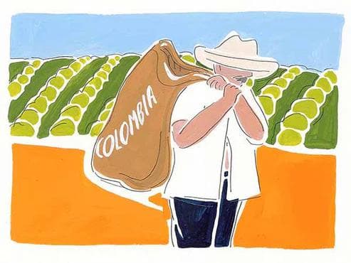 Image of Colombian Supremo