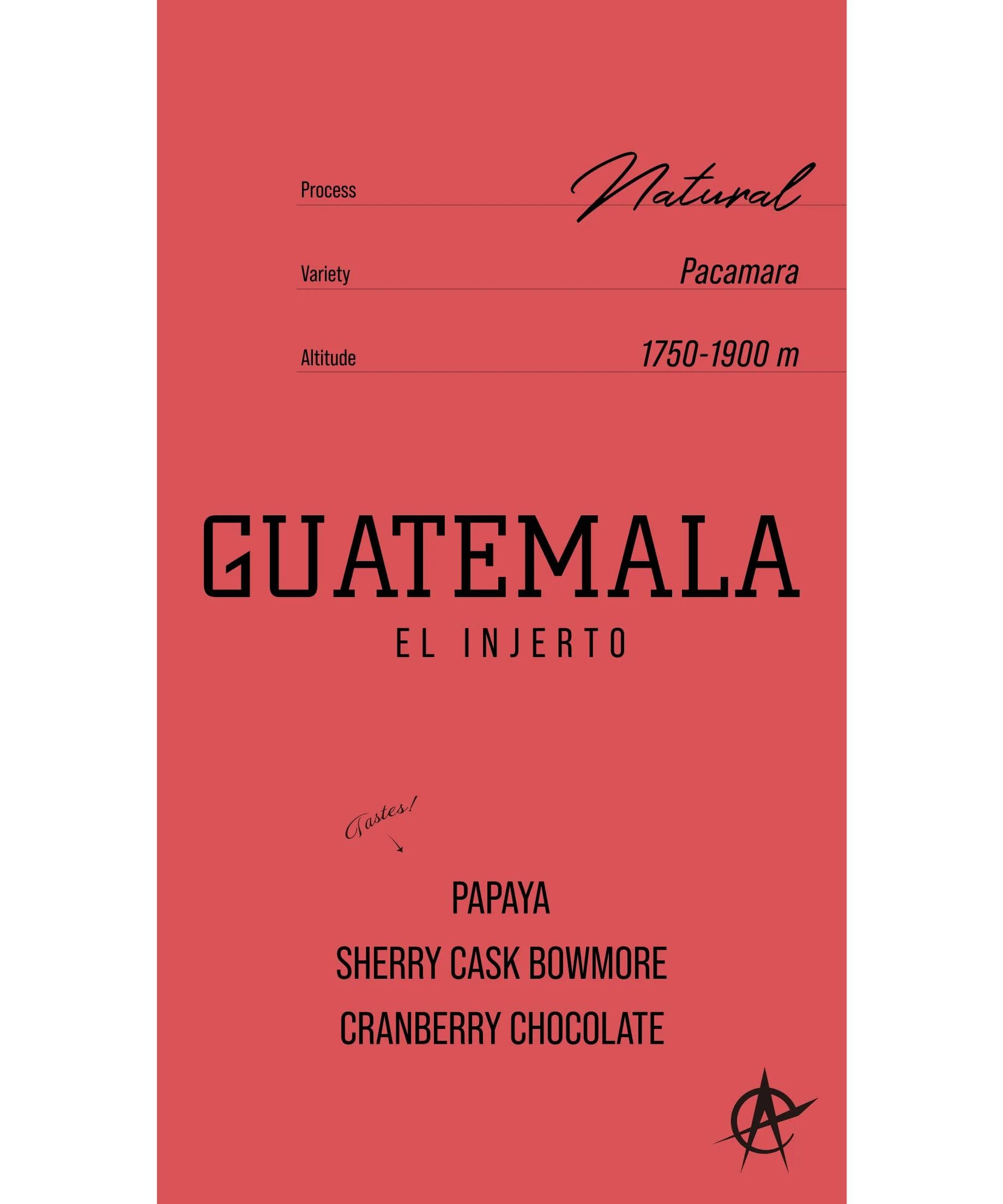 Image of Guatemala El Injerto, Pacamara - Natural